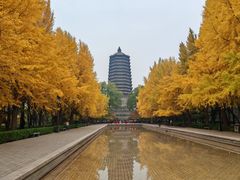 -玲珑塔公园