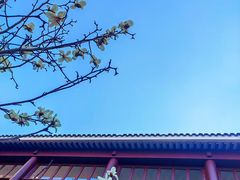 -苏州吴宫泛太平洋酒店