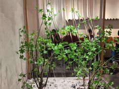 -喜茶(广州保利中环店)