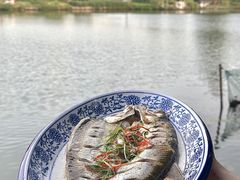 -水岸居湖景农家乐·阳澄湖大闸蟹