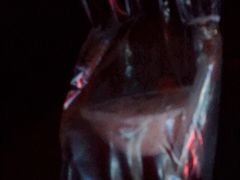 -CoCo都可(香港名都店)