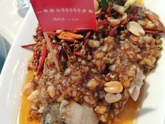 -杨氏青龙虾·羊蝎子(托乐嘉店)