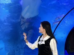 -左海海底世界