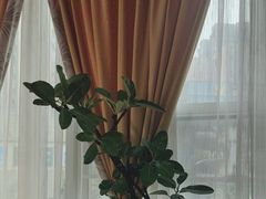 -花间别院(凤凰店)