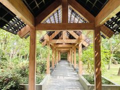 -深圳湾公园(南山区)