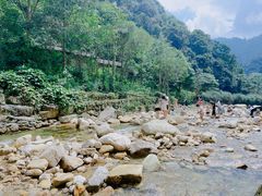 -姑婆山旅游区