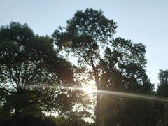 -艾溪湖湿地公园