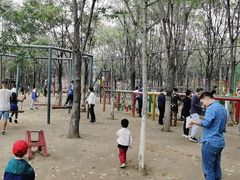 -草根堂农场