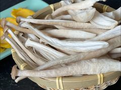 -菌极鲜野生菌火锅店(阳明祠店)