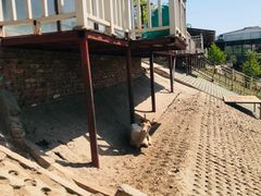 -北京鹿世界主题园