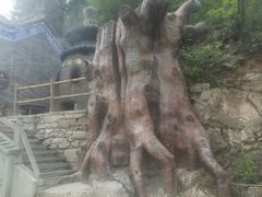 -塔云山