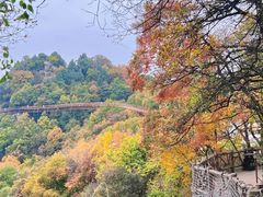-少华山国家森林公园