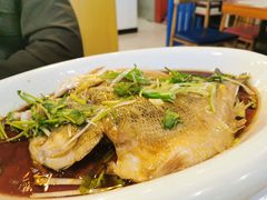 清蒸鲈鱼-生活本该如此北京小馆(周庄嘉园店)