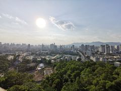 -金鸡山公园