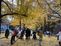 -四川大学(华西校区)