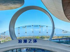 -港珠澳大桥(珠海段)