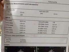 -美联众合动物医院·24h转诊中心