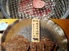 极上牛小排-本寻烧肉酒场(双井店)