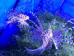 -多彩贵州城极地海洋世界