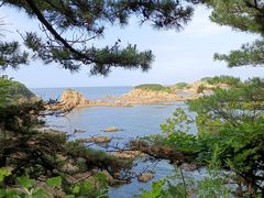 -海源公园