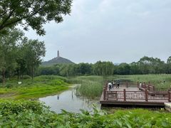 -北坞公园