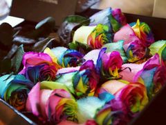 -玛斯兰德国际酒店-西餐厅