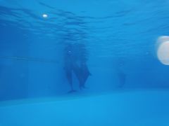 -横琴湾水世界