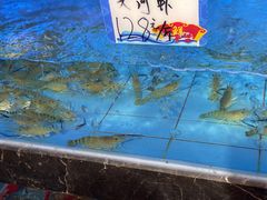 -旺达·福州菜(正大广场店)