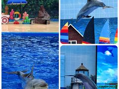 -海合安天津极地海洋公园