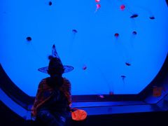 -沈阳海洋探索中心