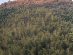 -天目湖御水温泉·度假酒店