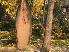 -成都武侯祠博物馆