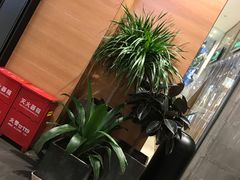 -茶颜悦色(吾悦广场六号门店)