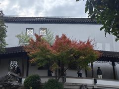 -秋霞圃