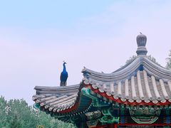 -北京麋鹿生态实验中心