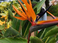 -国家植物园南园