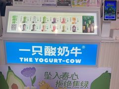 -一只酸奶牛(春熙路店)