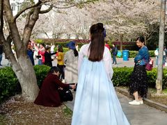 -武汉大学-樱园