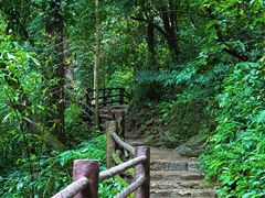 -莫里热带雨林景区