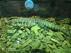 -海合安天津极地海洋公园