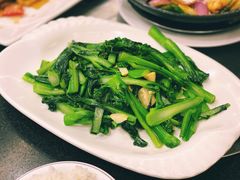 猪油渣菜心-美极鲜食坊(宝安南路店)