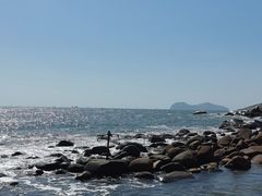 -广东惠东海龟国家级自然保护区