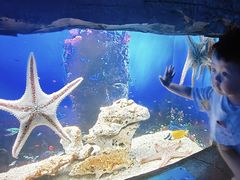 -芜湖新华联大白鲸海洋公园