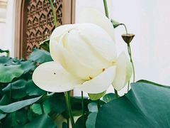 -龙环葡韵住宅式博物馆