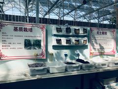 -迪茵湖田家舍生态农场