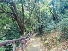 -大雁山风景区
