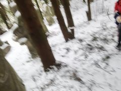 -武陵山森林公园