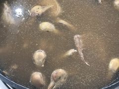 -皇鸽餐厅(龙塘店)