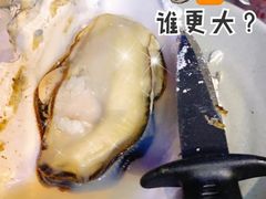 -千岛蚝高压锅生蚝·人参火锅(白云万达店)