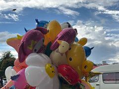 -七彩云南欢乐世界